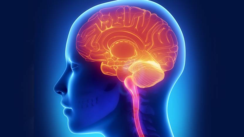 neurodiem-image