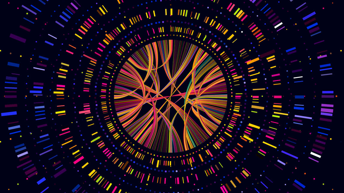 neurodiem-image