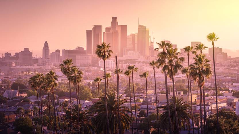 CONGRESS-AAIC-2019