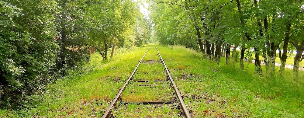 Tracks