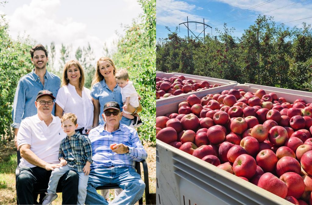 BEFK Apple Grower Image 2