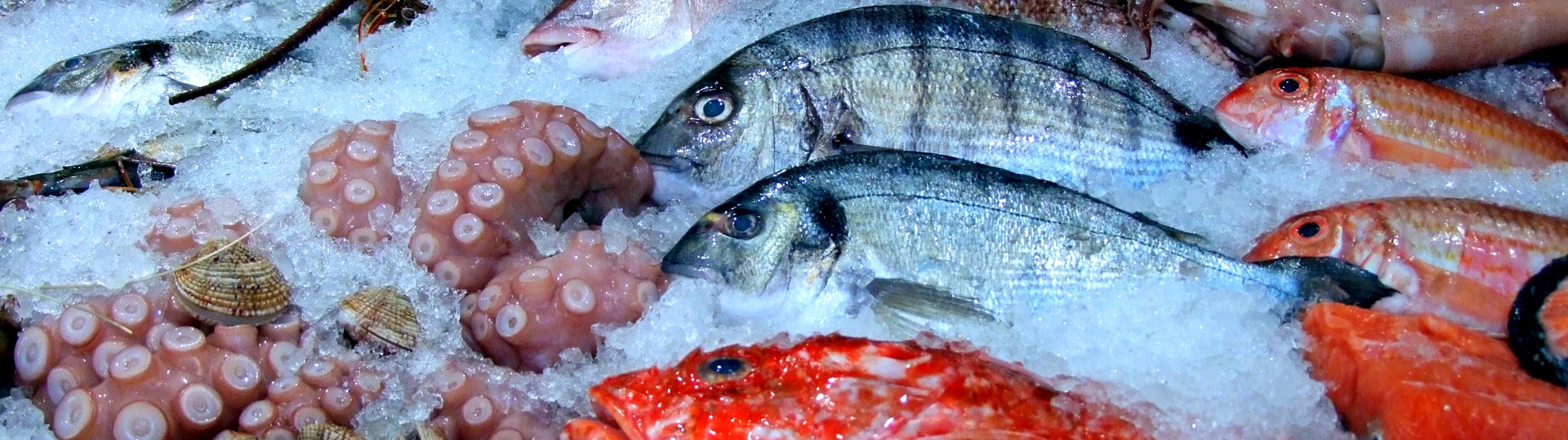 Seafood What's OK and what to Avoid during Pregnancy Pregnant Plate