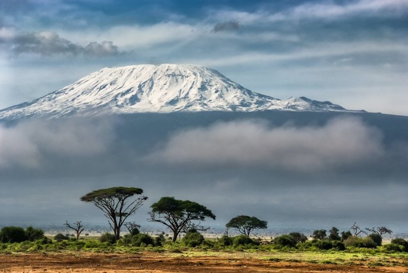 Mount Kilimanjaro covered in snow with trees in foreground
