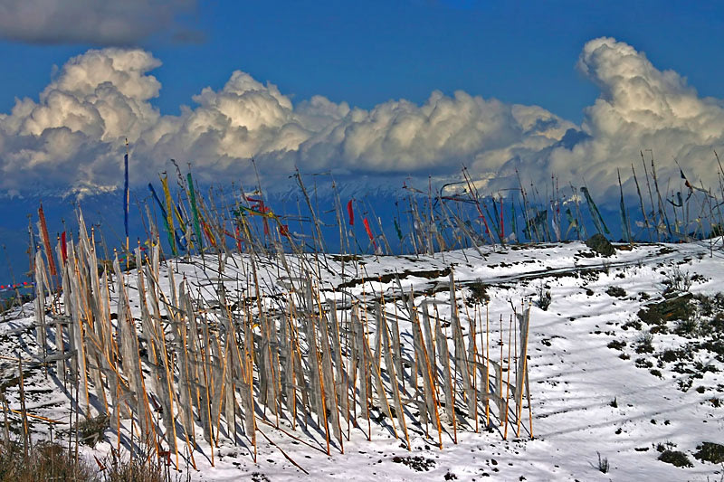 Chele Pass, Has, Bhutan