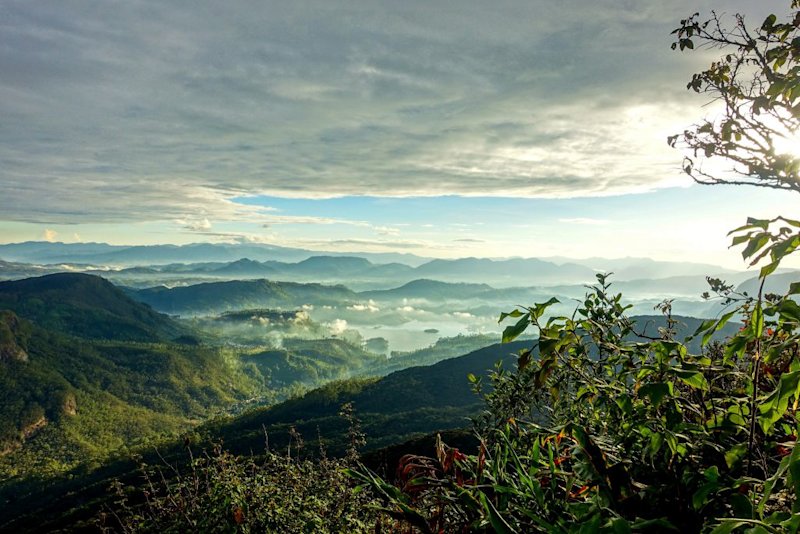 View from Adam's Peak in Sri Lanka