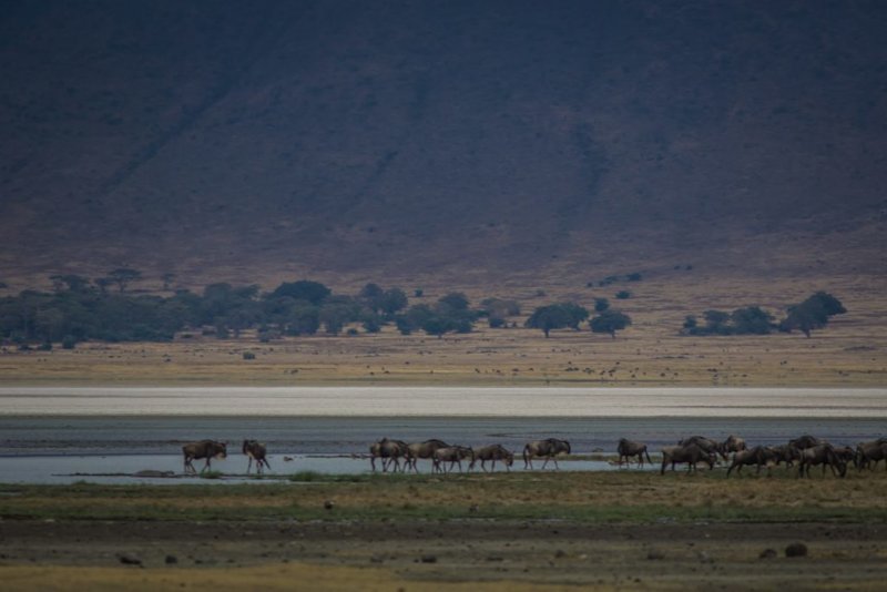 Ngorongoro Crater steep crater wall
