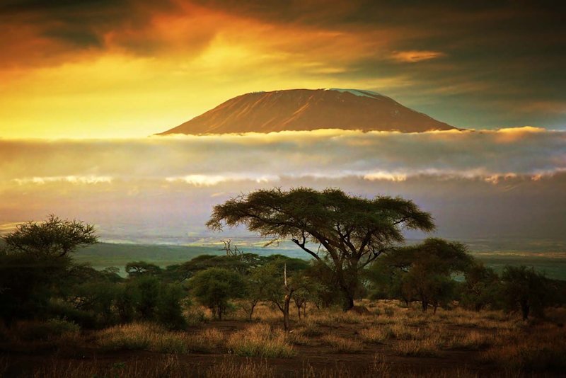 View of Mt Kilimanjaro at sunset from plains