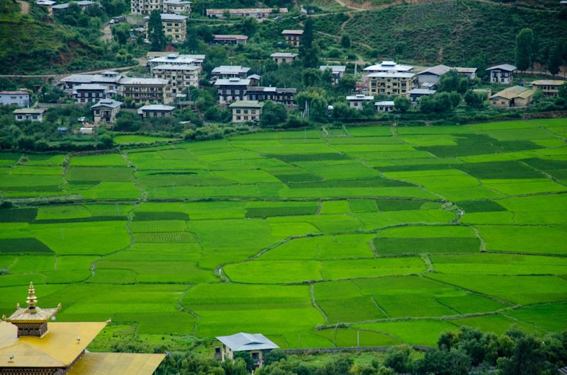 Paro Bhutan