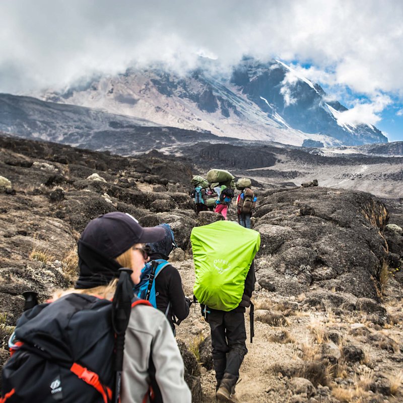 Trekkers and Lemosho route scenery