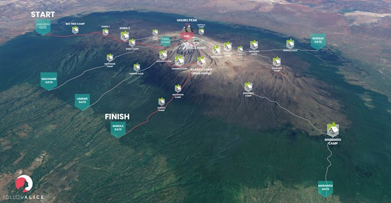 Lemosho route of Kilimanjaro