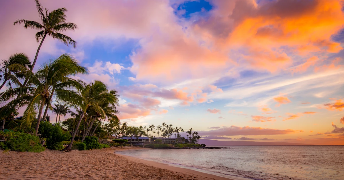 Hawaii Maui | Swyft Filings
