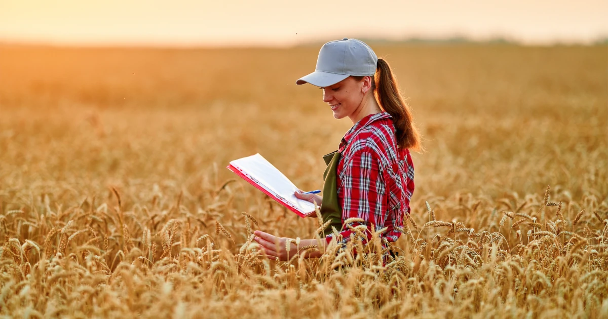 Wheat farmer checking her inventory