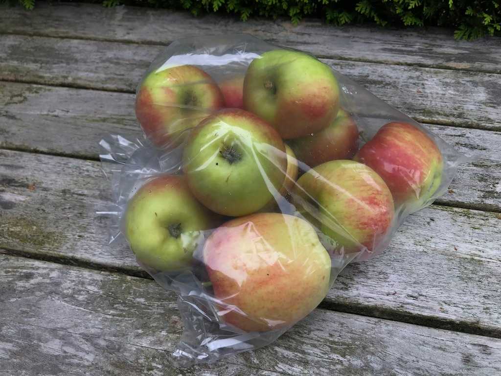 Delcorf appels van Kat Angelino