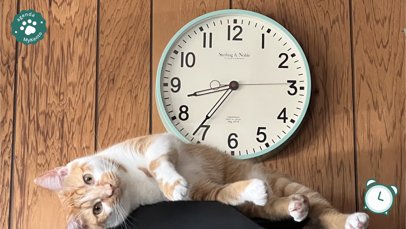 Agendamentos perdidos? Dicas para otimizar sua agenda no Pet Shop