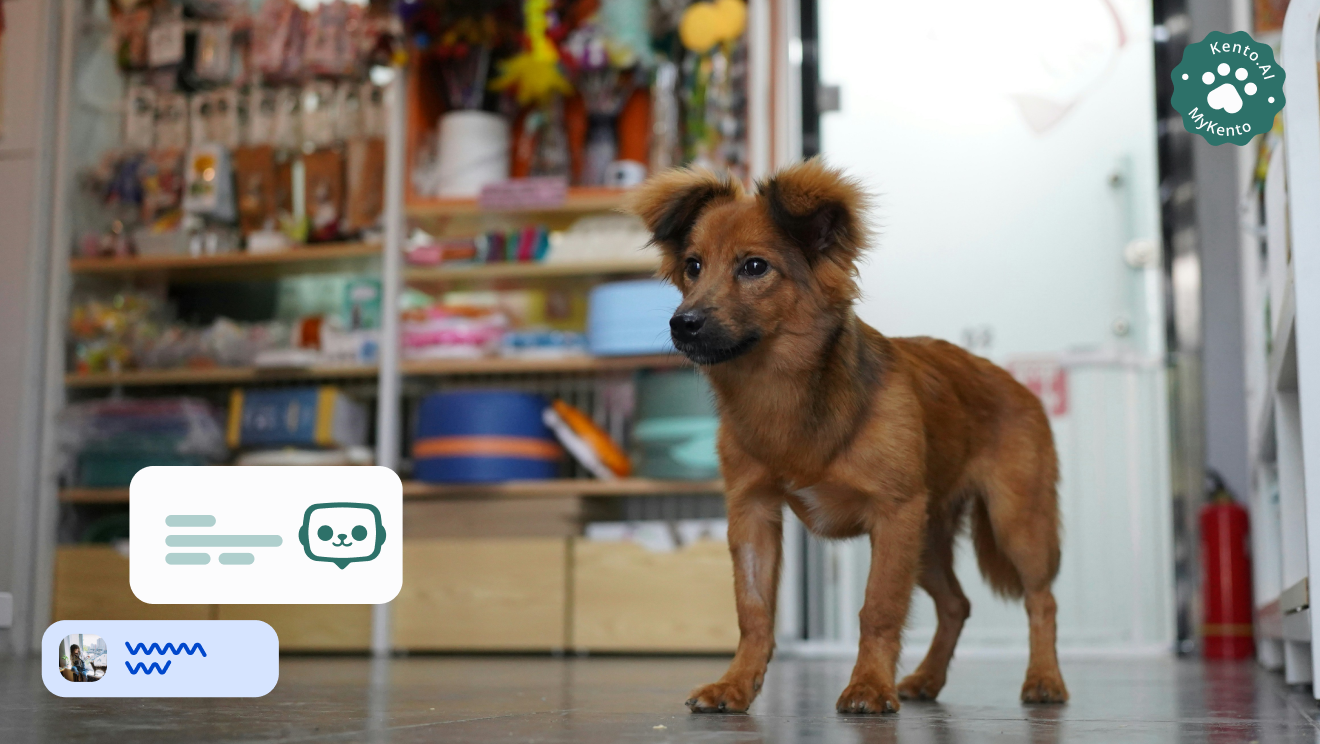 Aumente seus lucros: descubra o poder da IA na gestão de negócios pet