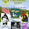 Picknickdecken- Konzert Picknickdecken- Konzert