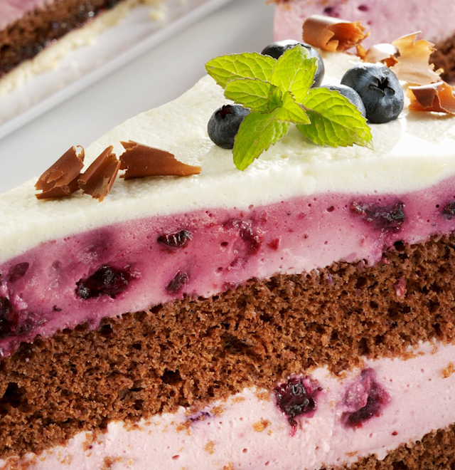 minusl_schokoladen_heidelbeer_torte.jpg