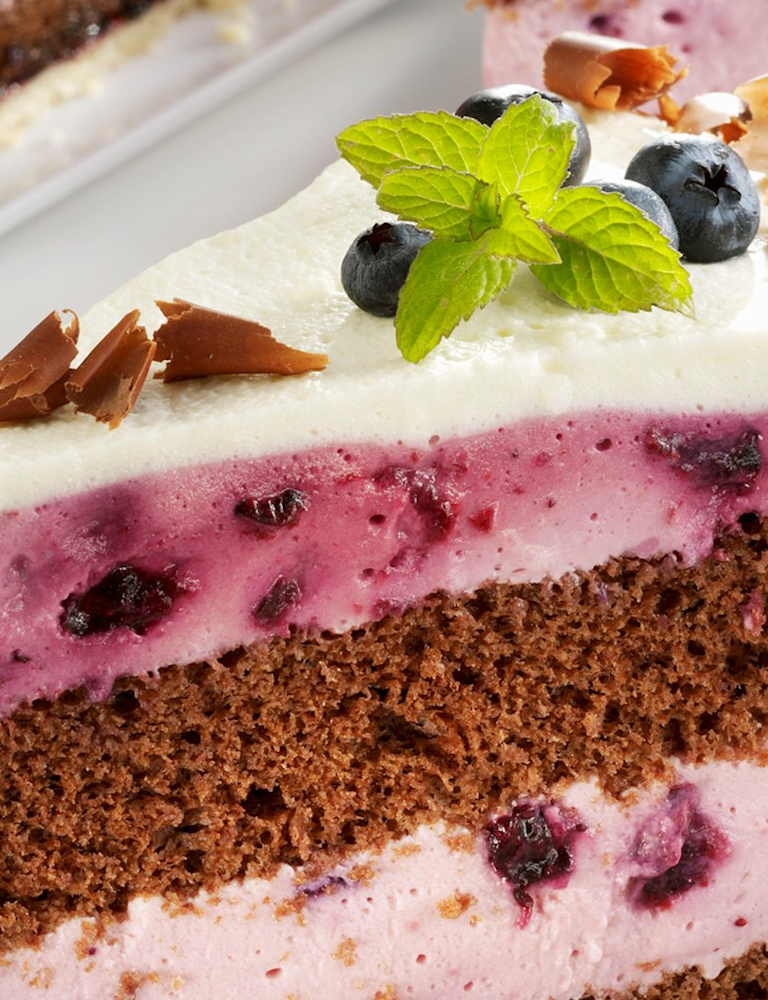 minusl_schokoladen_heidelbeer_torte.jpg