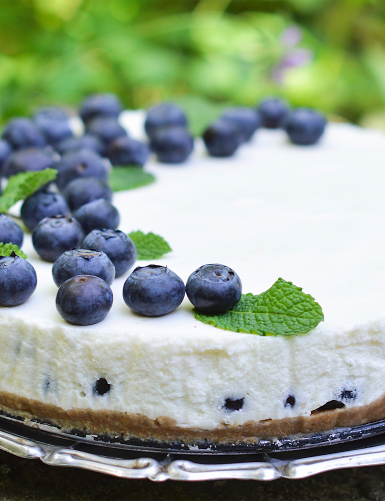 minusl-joghurtkuchen-mit-blaubeeren.jpg