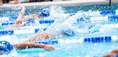 Swimmers race in adjacent lanes of a pool.