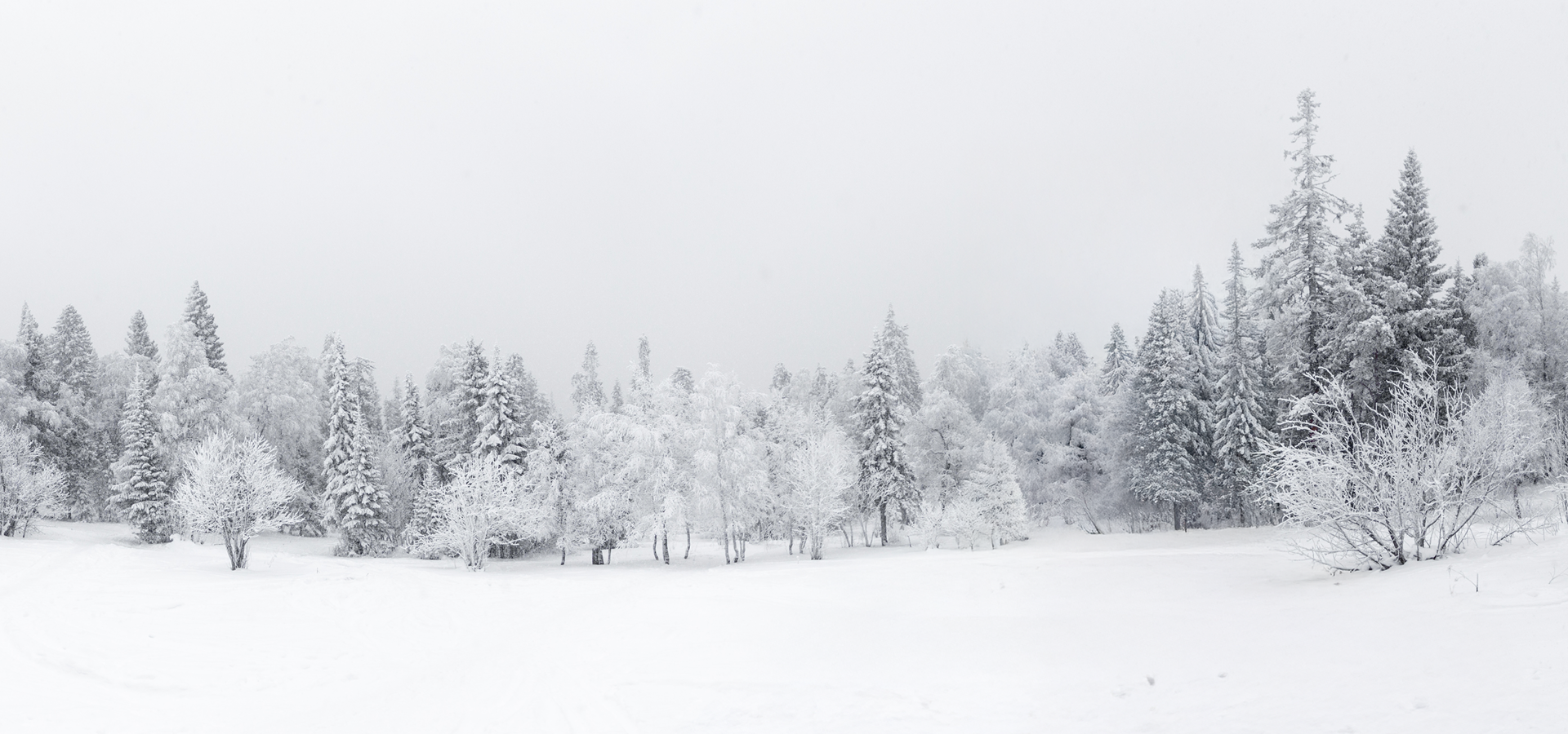 Winter Background Layer