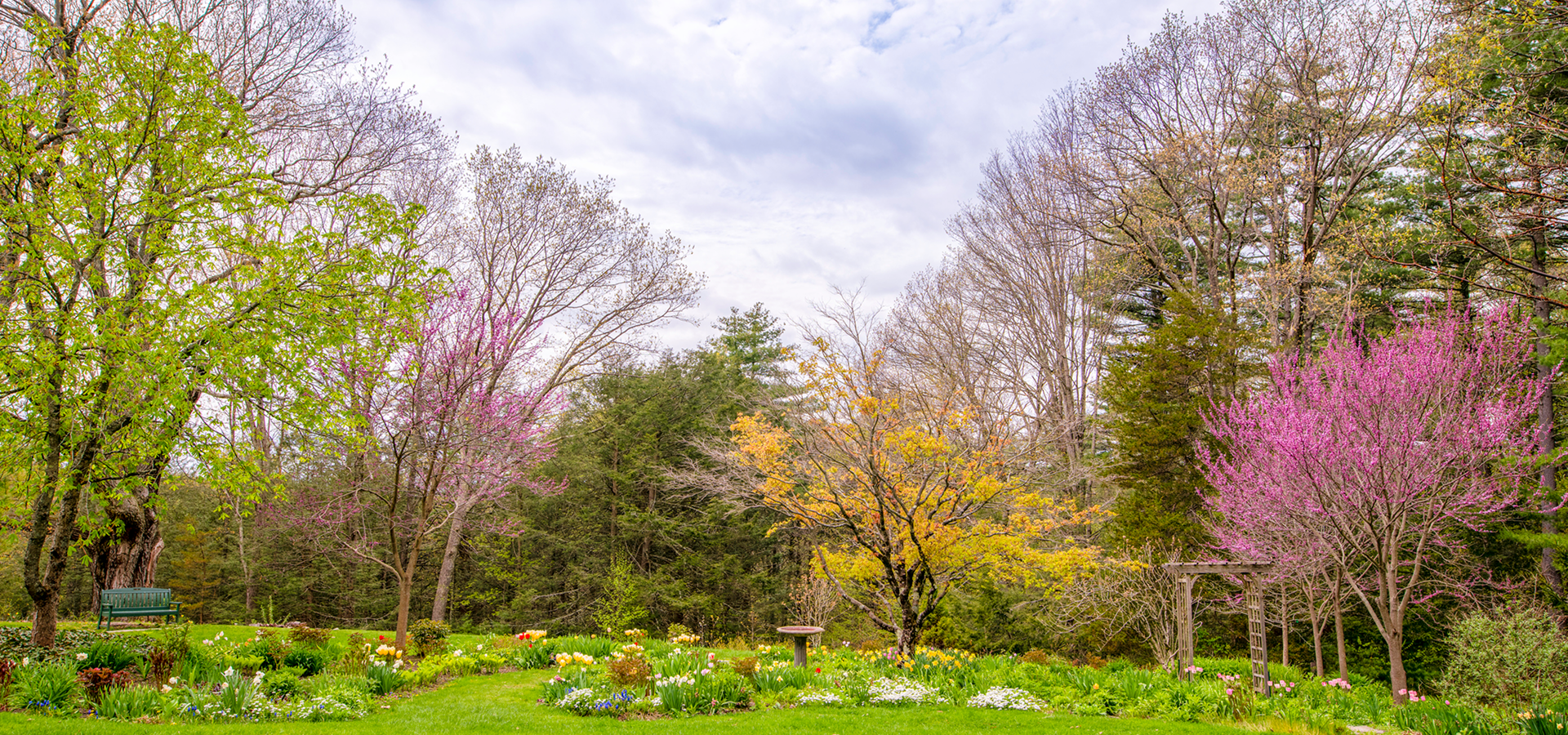 Spring Background Layer