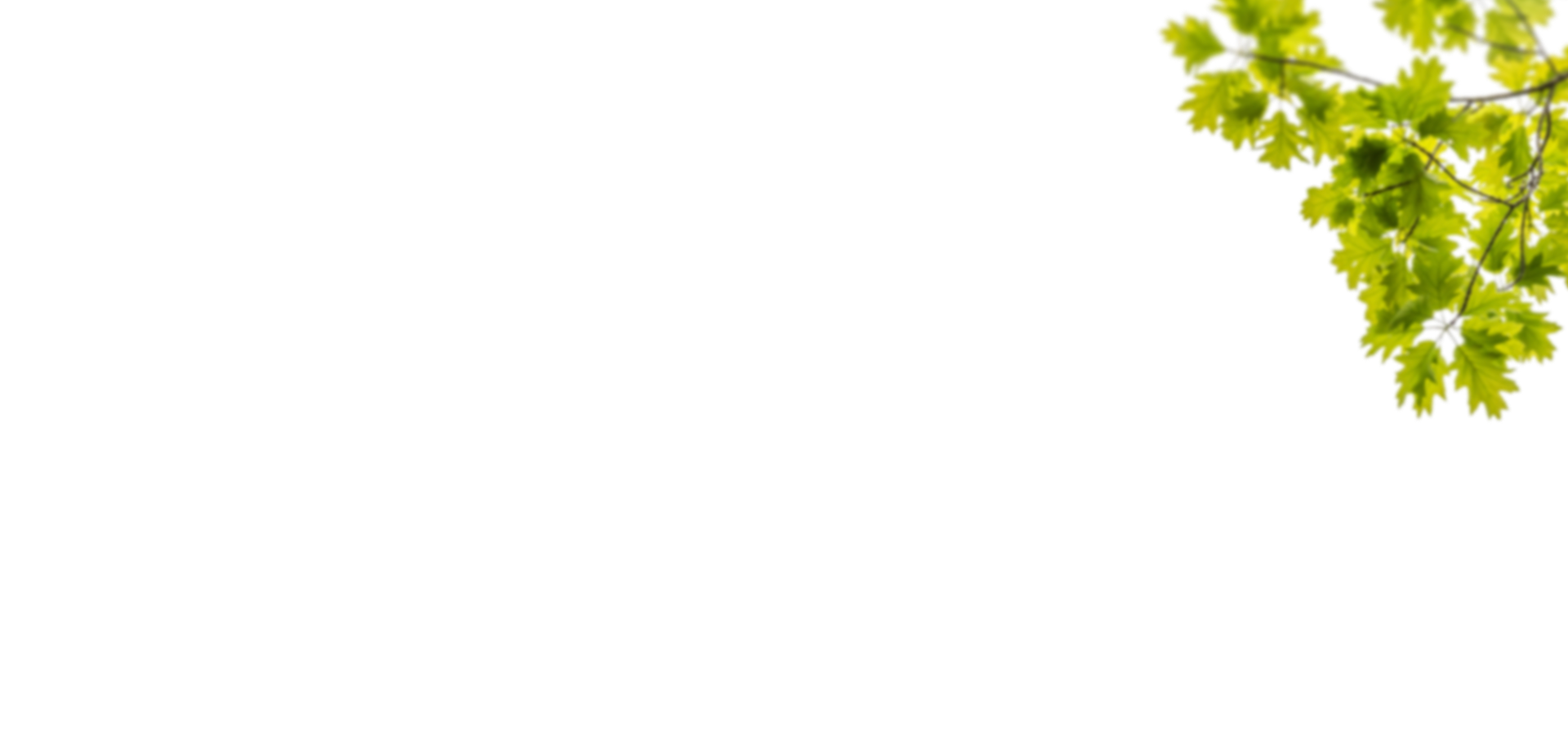 Summer Foreground Layer