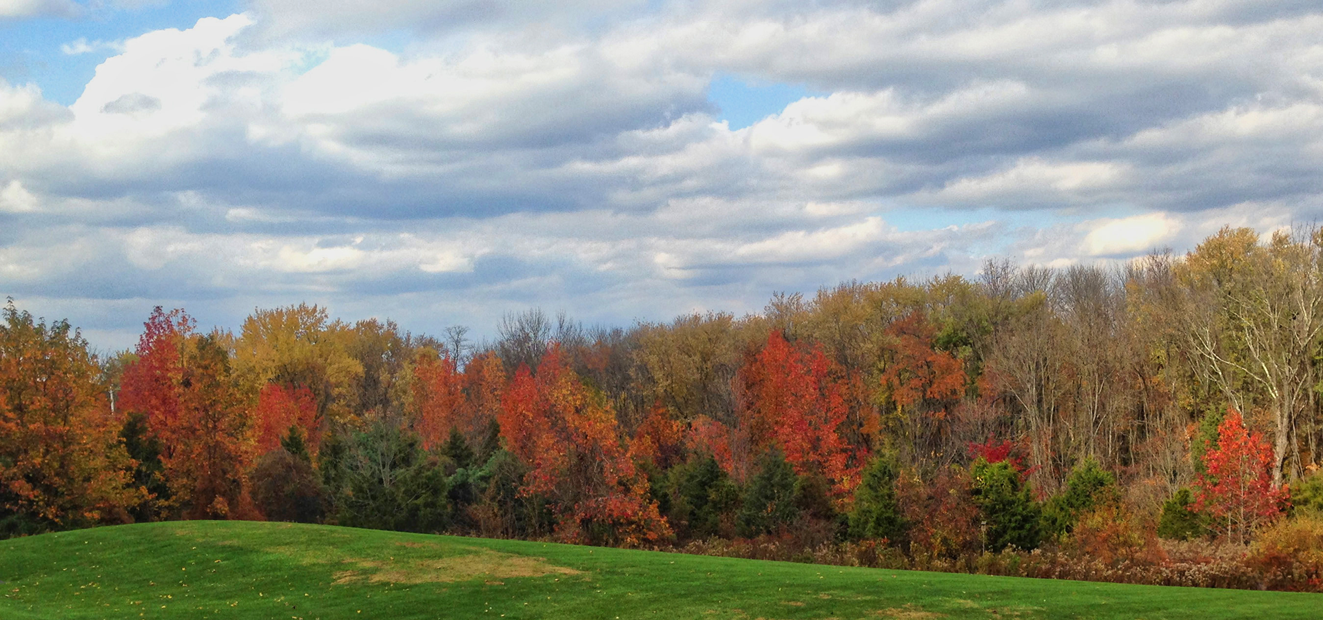 Autumn Background Layer