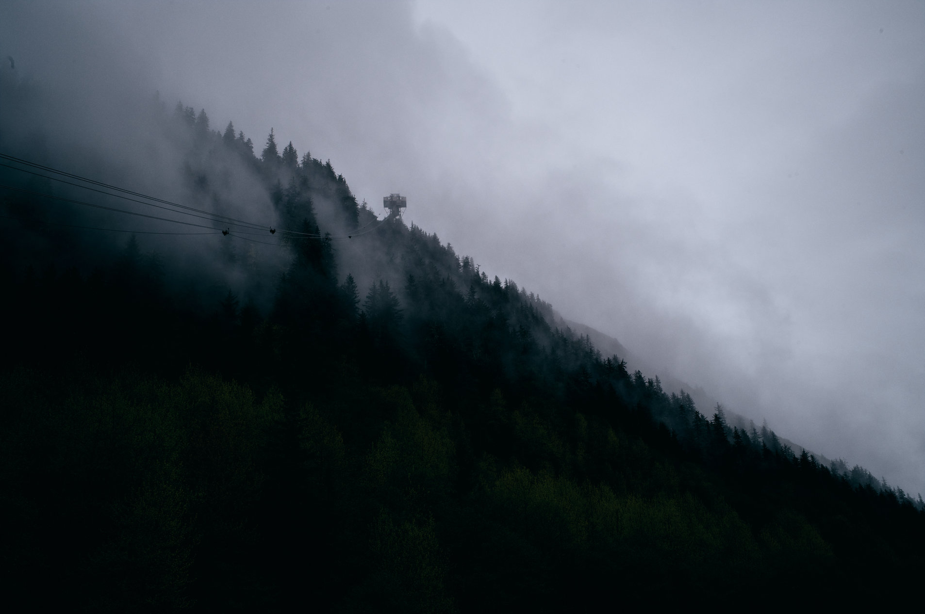 Portfolio photograph 9
