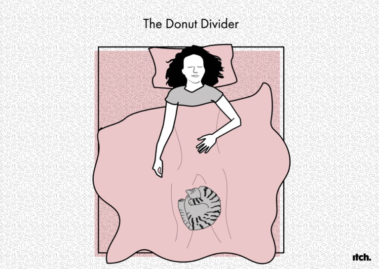 Donut Diver