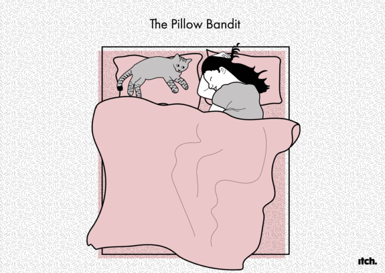 Pillow Bandit