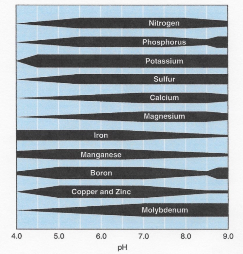Plant Nutrient Availability According to Soil pH