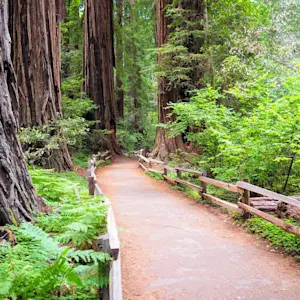 always-one-step-ahead