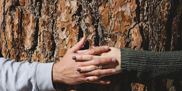 navigating-carbon-footprint article pic