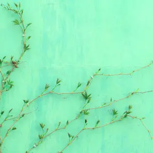 green-it-