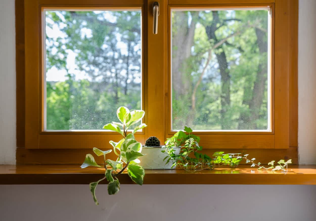 Wood WIndows