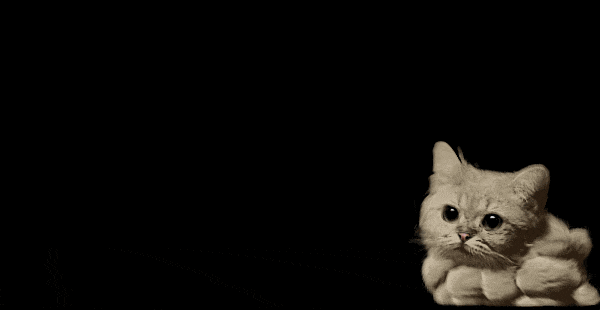 CatRocket