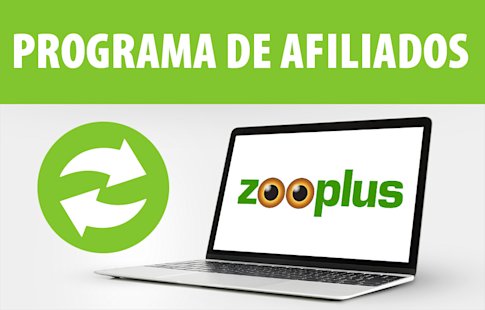 programa de afiliados