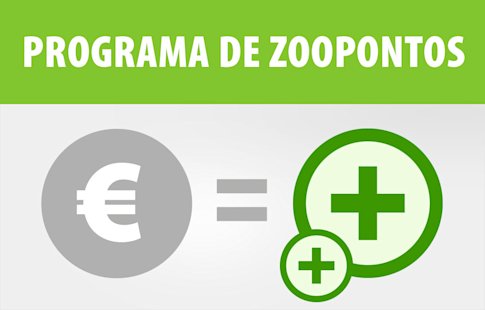 programa de pontos