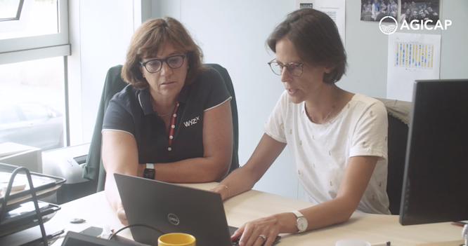 Wyz, il gruppo multinazionale che gestisce le proprie filiali in tutta semplicità