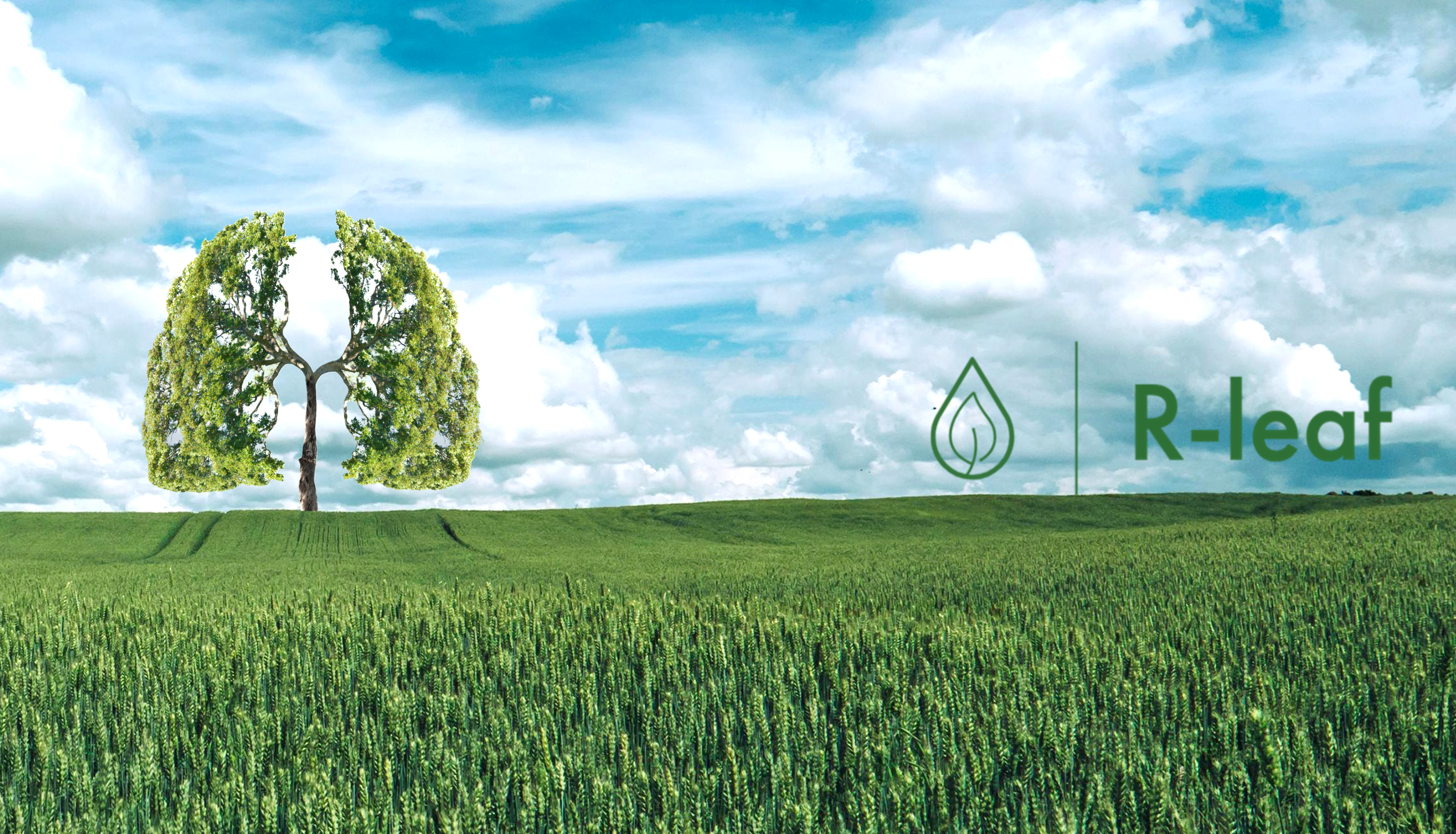 Crop Intellect Background