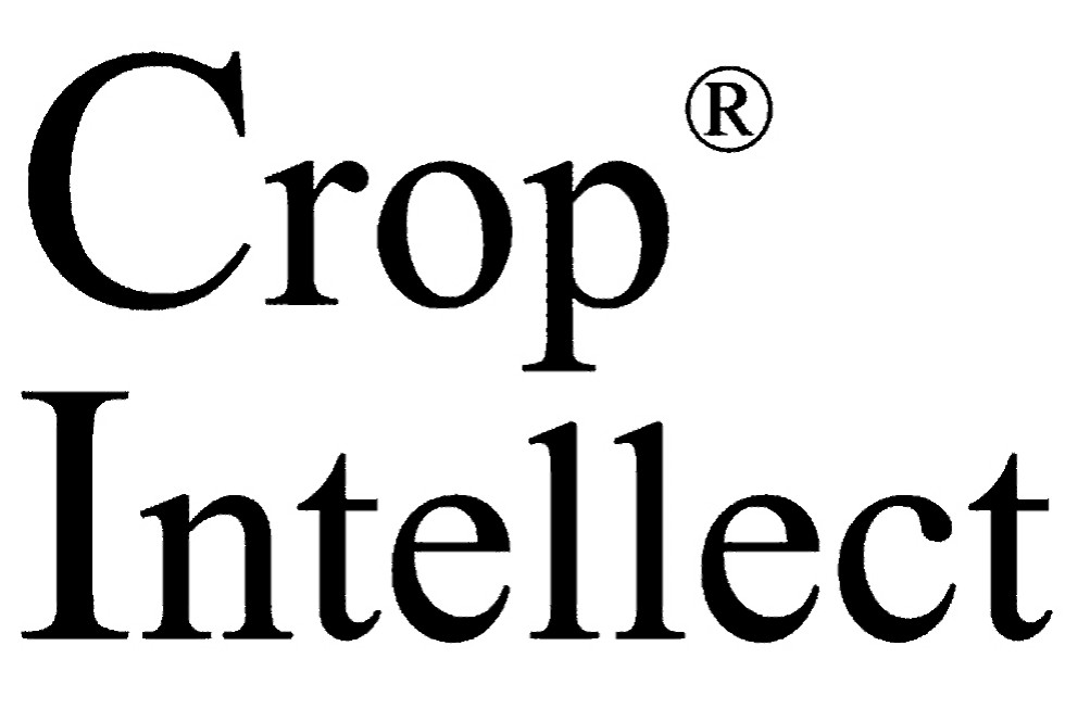 Logo B&W Crop Intellect