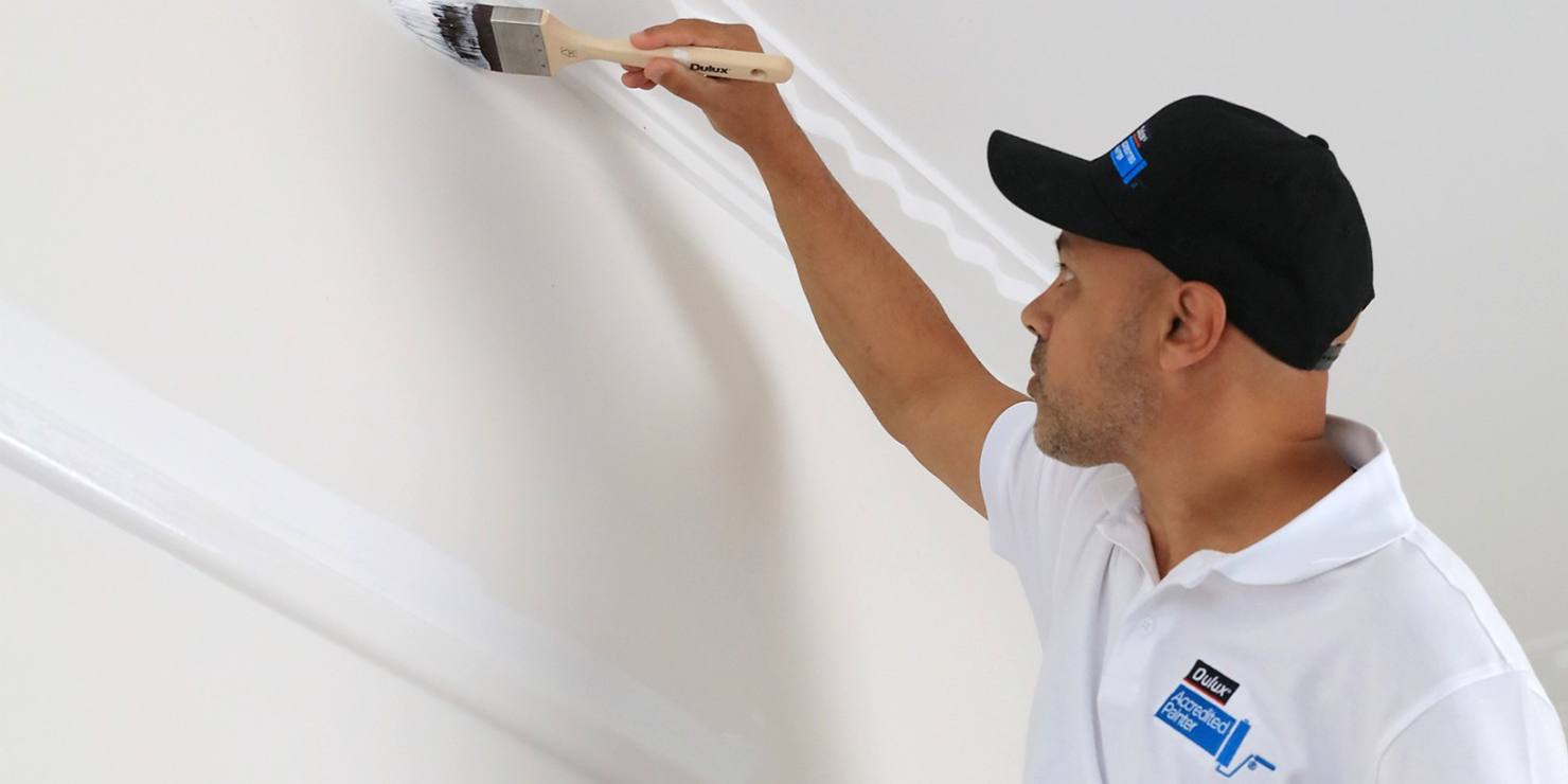 Dulux Banner 1 Aus Partnerships DAP