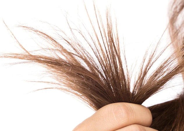 A fair-skinned hand holding the end of brown hair showing split ends.