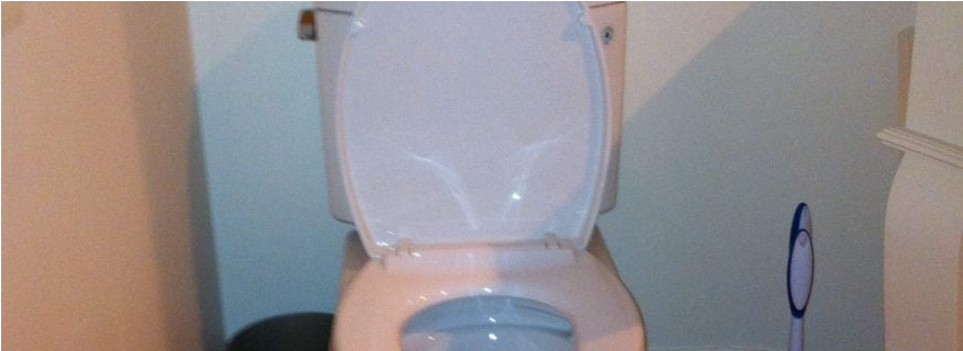 Why Your Toilet Won’t Flush