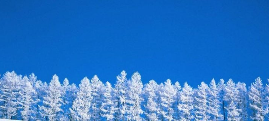 Winter Plumbing Maintenance Checklist