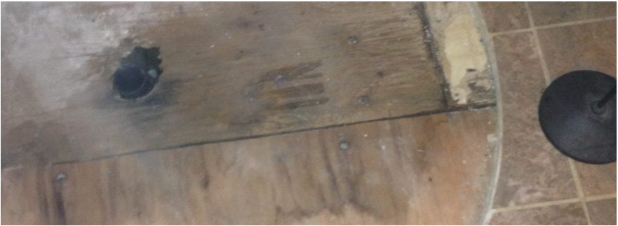 The Best Bets for Mold Prevention
