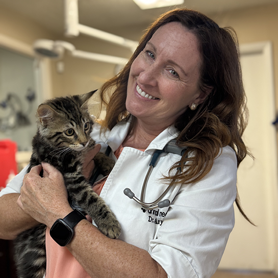 Animal Medical Clinic
