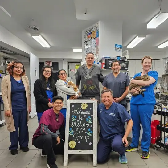 Astoria Veterinary Group