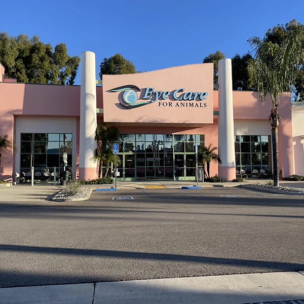 Eye Care For Animals - Pasadena